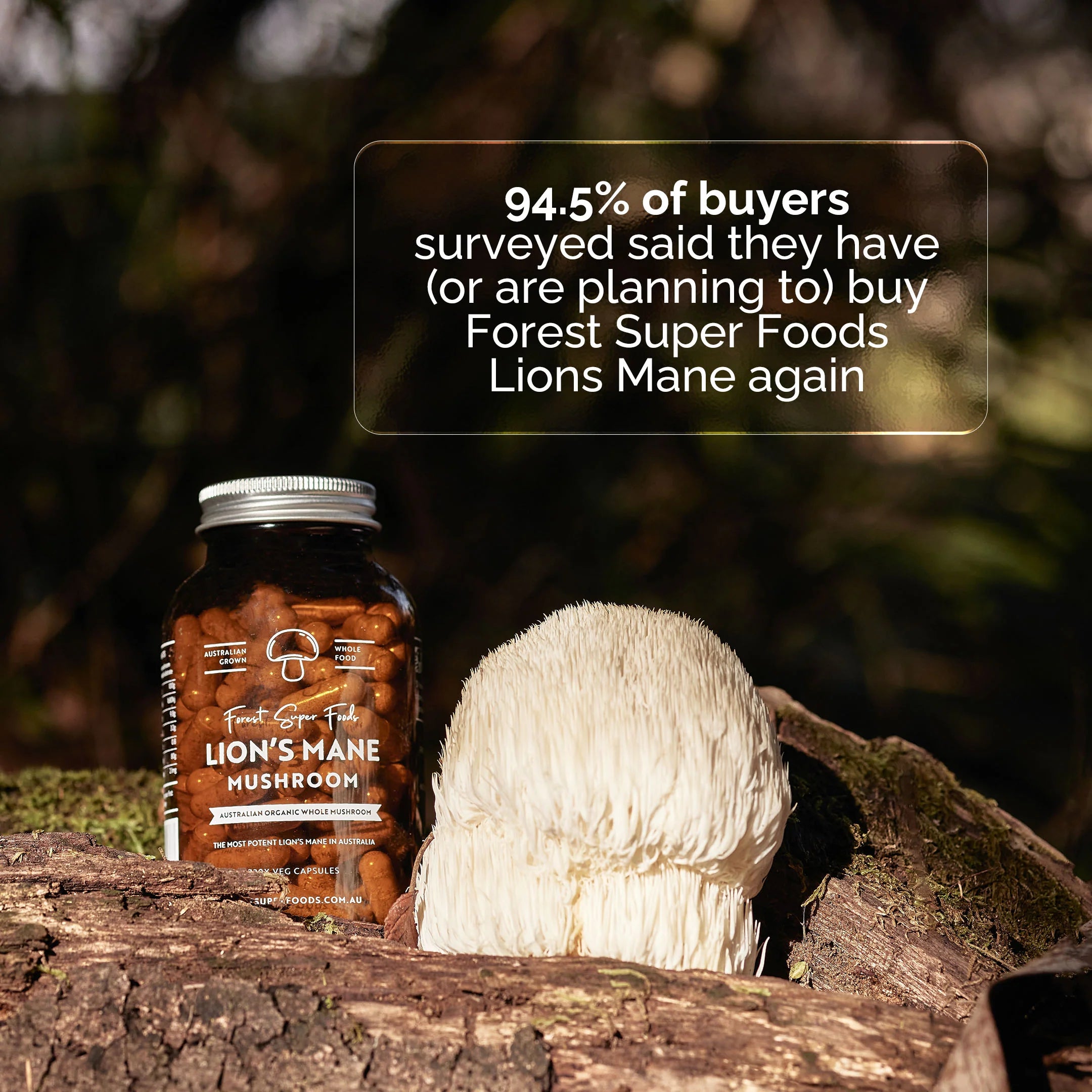 Australian Grown Lions Mane Mushroom Capsules