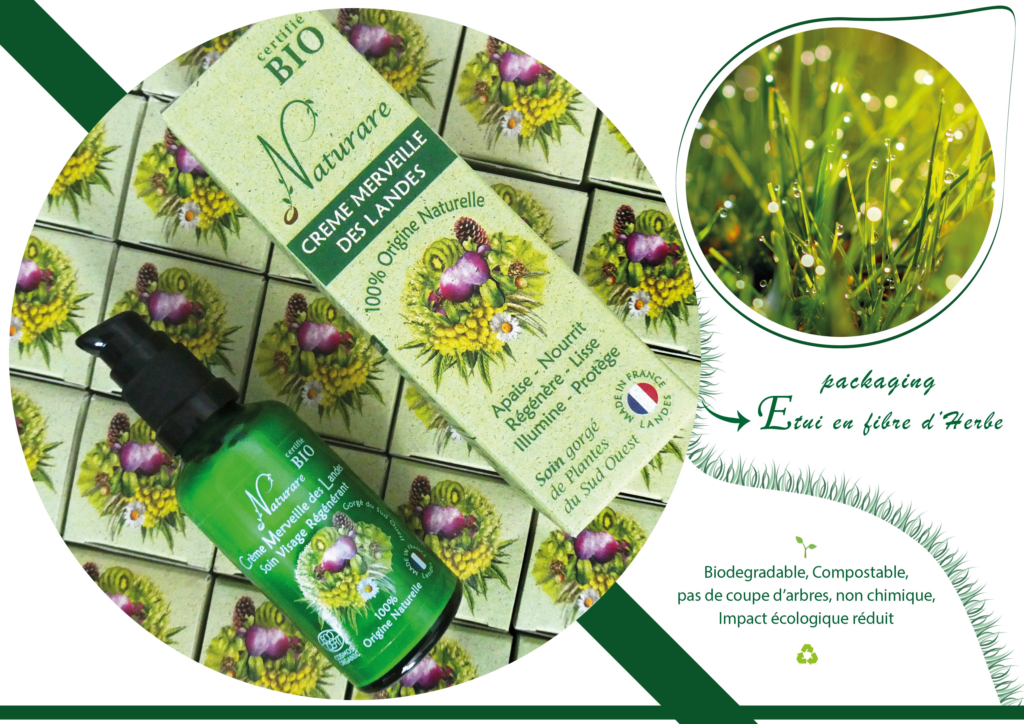 Organic Wonder Cream of French Landes, Integral Regeneration Nutrition by Amber Nemesis – Available at Ataraxia Attire