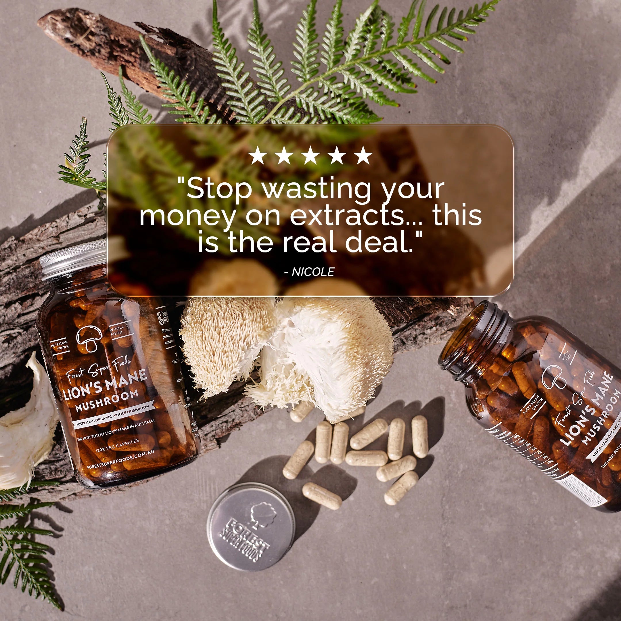 Australian Grown Lions Mane Mushroom Capsules