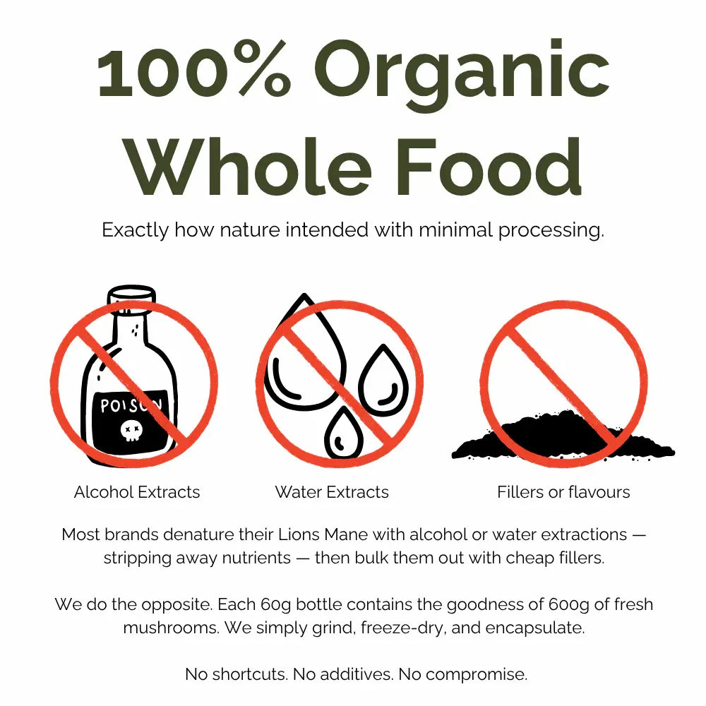 Infographic with benefits of Forest Super Foods Lion’s Mane Mushroom 