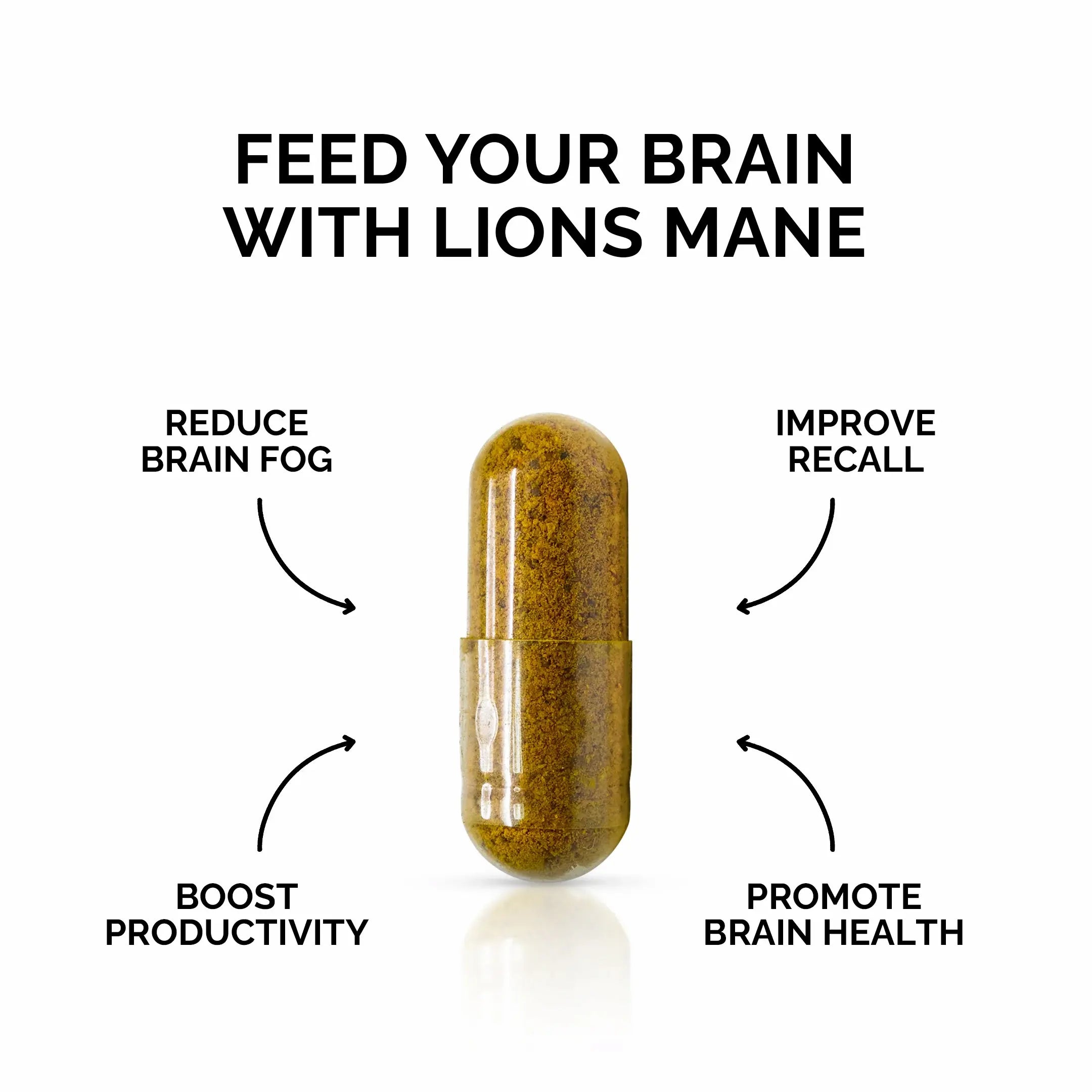 Infographic with benefits of Forest Super Foods Lion’s Mane Mushroom for brain health